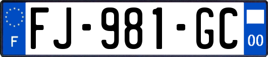FJ-981-GC