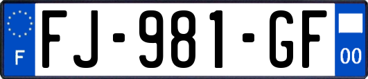 FJ-981-GF