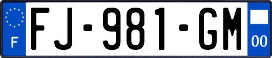 FJ-981-GM
