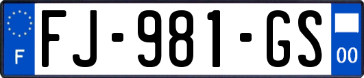 FJ-981-GS