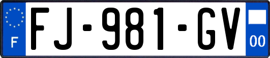 FJ-981-GV