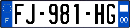 FJ-981-HG