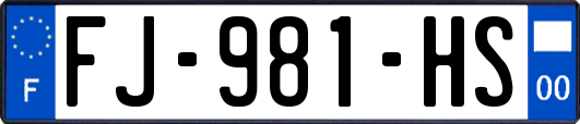 FJ-981-HS