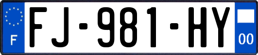 FJ-981-HY