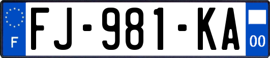 FJ-981-KA