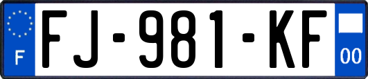 FJ-981-KF