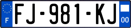 FJ-981-KJ