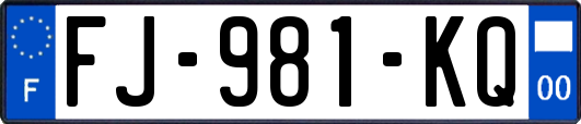FJ-981-KQ