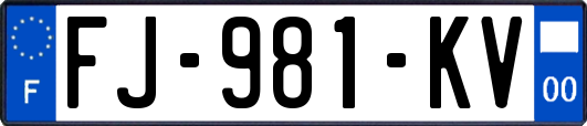 FJ-981-KV