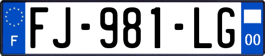 FJ-981-LG