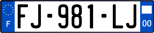 FJ-981-LJ