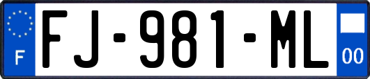 FJ-981-ML