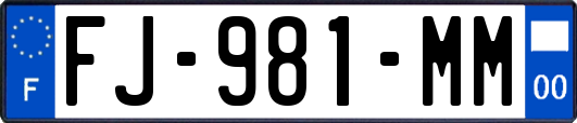 FJ-981-MM