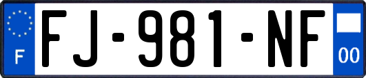 FJ-981-NF