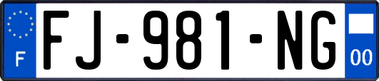 FJ-981-NG