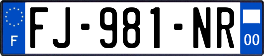 FJ-981-NR