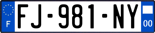 FJ-981-NY