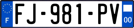 FJ-981-PV