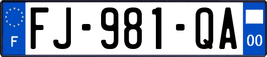 FJ-981-QA