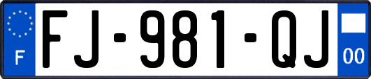 FJ-981-QJ