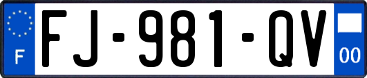 FJ-981-QV