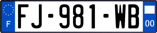 FJ-981-WB