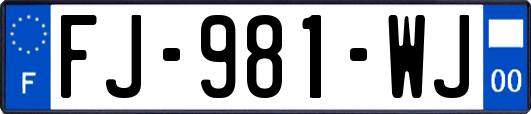 FJ-981-WJ