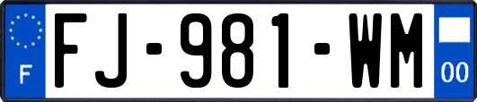 FJ-981-WM