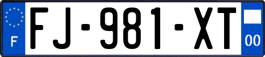 FJ-981-XT