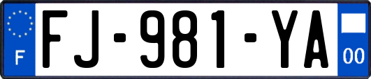 FJ-981-YA