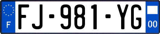 FJ-981-YG