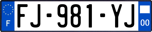 FJ-981-YJ