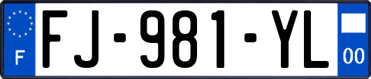 FJ-981-YL