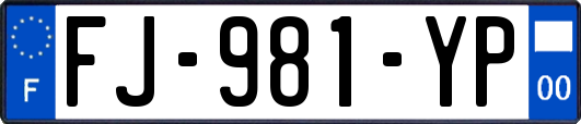 FJ-981-YP
