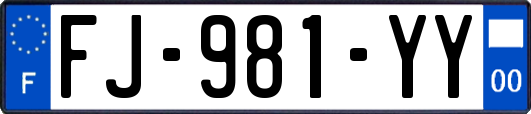 FJ-981-YY