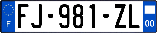 FJ-981-ZL