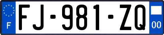 FJ-981-ZQ