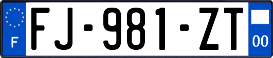 FJ-981-ZT