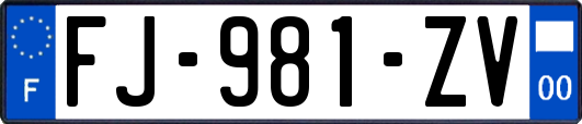 FJ-981-ZV