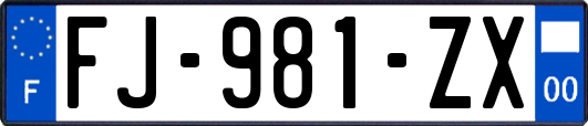 FJ-981-ZX