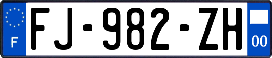 FJ-982-ZH