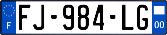 FJ-984-LG