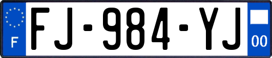FJ-984-YJ