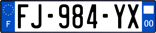 FJ-984-YX