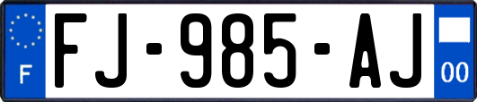 FJ-985-AJ