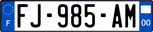 FJ-985-AM