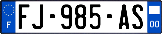 FJ-985-AS