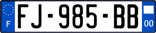 FJ-985-BB