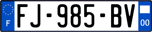 FJ-985-BV