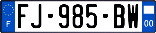 FJ-985-BW